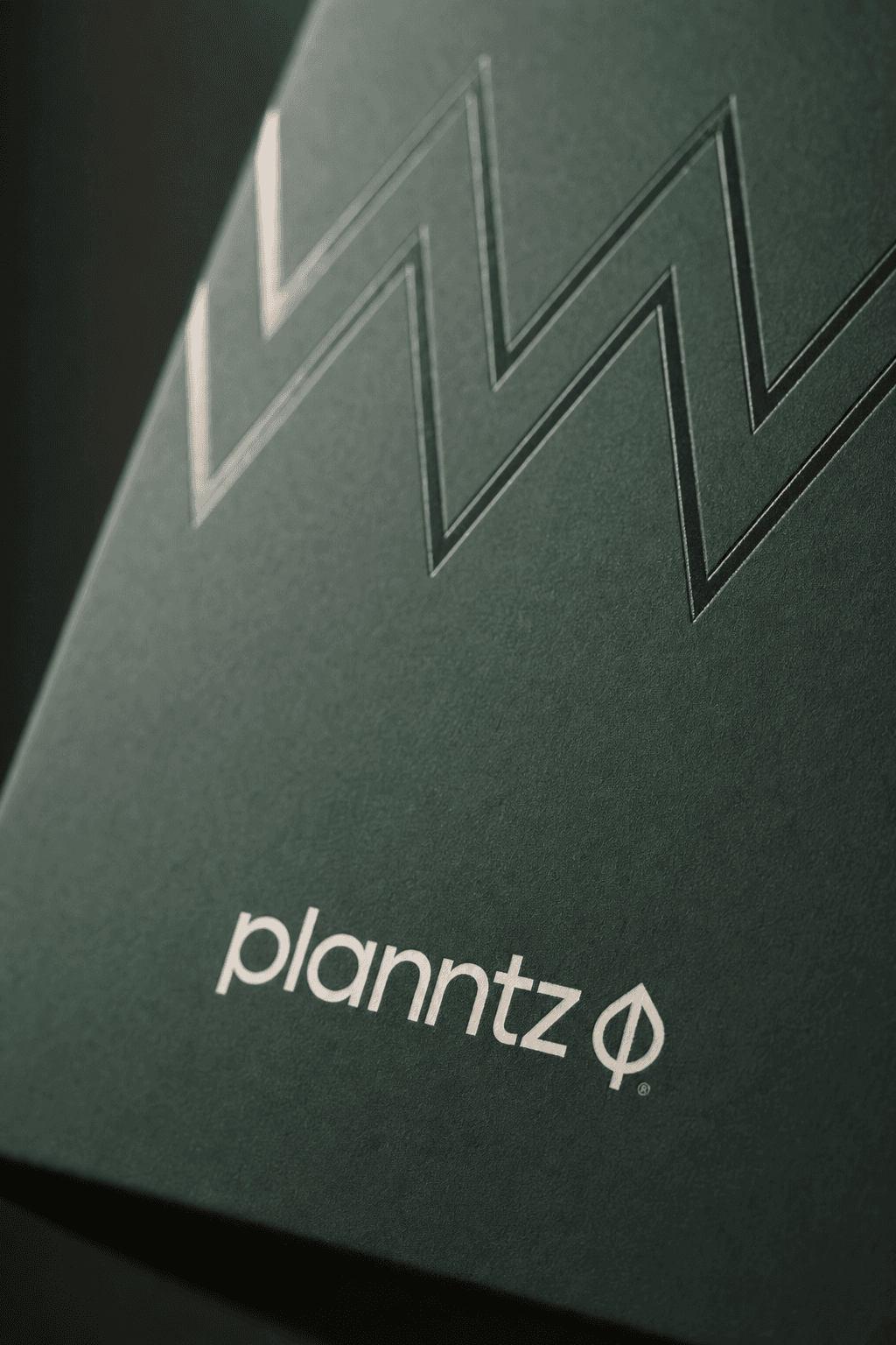 Close-up of Planntz packaging showing the embossed chevron detail and wordmark