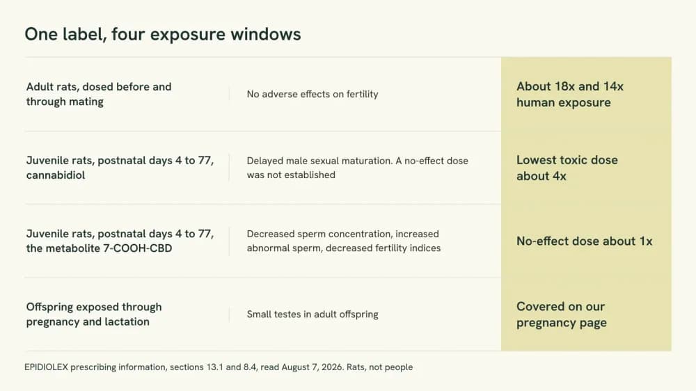 Diagram of four exposure windows from one CBD drug label, showing what was reported in each and the exposure margin attached to it.