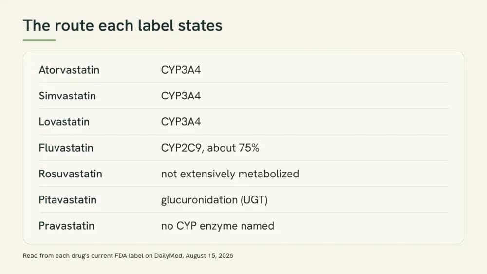 Chart listing seven statins and the metabolic route each drug's FDA label states, from CYP3A4 to glucuronidation to no enzyme named.