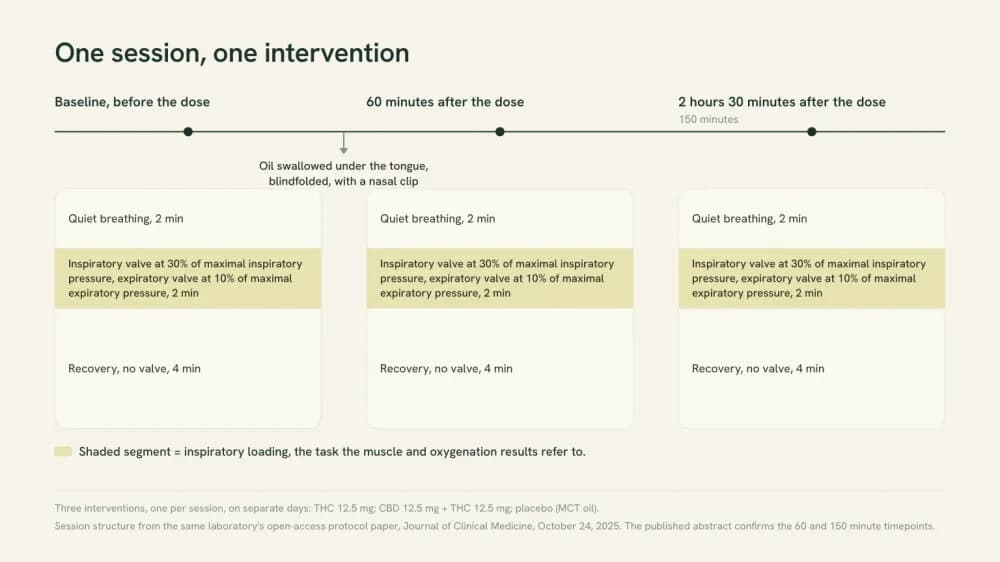 Timeline of one trial session: three measurement blocks, at baseline, 60 minutes after the dose and 150 minutes after the dose, each made of 2 minutes of quiet breathing, 2 minutes against an inspiratory valve, and 4 minutes of recovery.