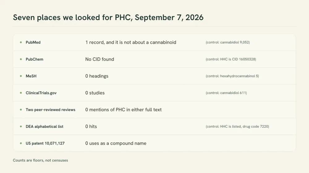 A checklist graphic listing the seven places searched for the name PHC on September 7, 2026, with the result from each one and the control search that did return a record printed beside it.