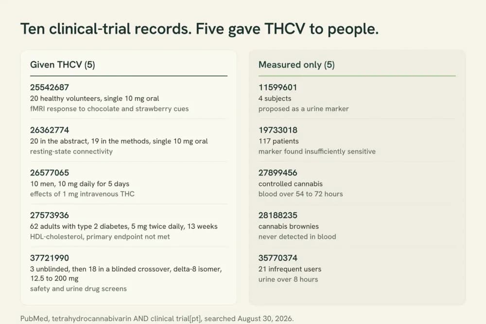 Chart splitting the ten THCV clinical-trial records into five in which participants were given THCV and five in which the molecule was only measured as an analyte, with the instrument used in each.