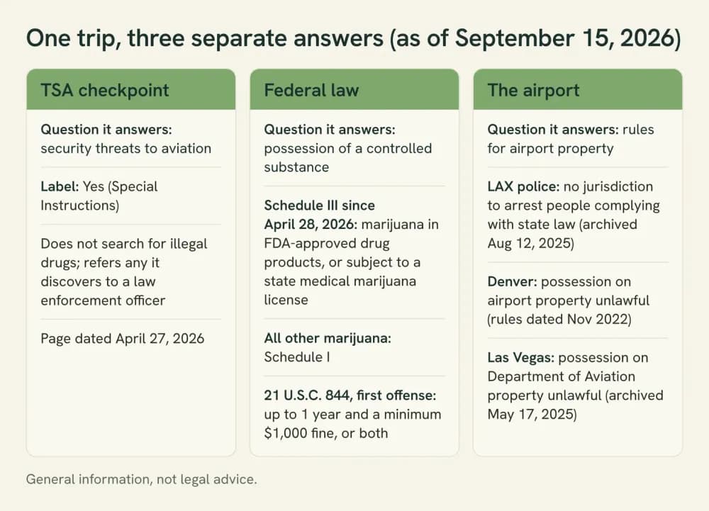 Three-panel diagram: TSA screens for security threats, federal law keeps marijuana outside two narrow categories in Schedule I, and LAX, Denver and Las Vegas airport rules differ.