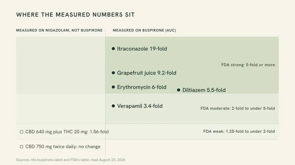 Ladder graphic showing FDA's weak, moderate and strong inhibition bands with the buspirone label's measured AUC multipliers plotted on it and the two cannabidiol midazolam results marked separately.