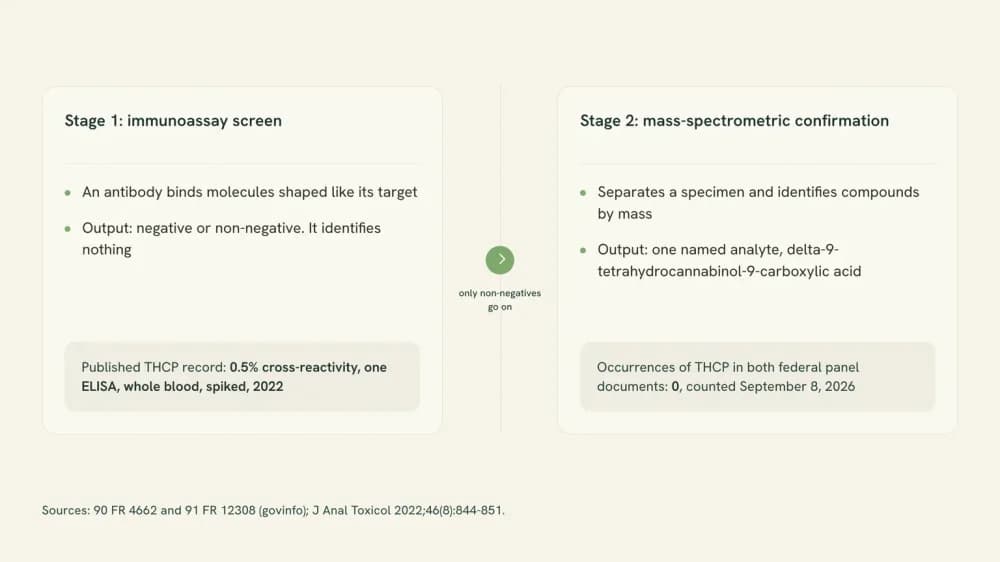 Diagram of the two halves of a drug test, an antibody screen on the left sorting specimens into negative and non-negative, and a mass-spectrometric confirmation on the right naming one molecule.