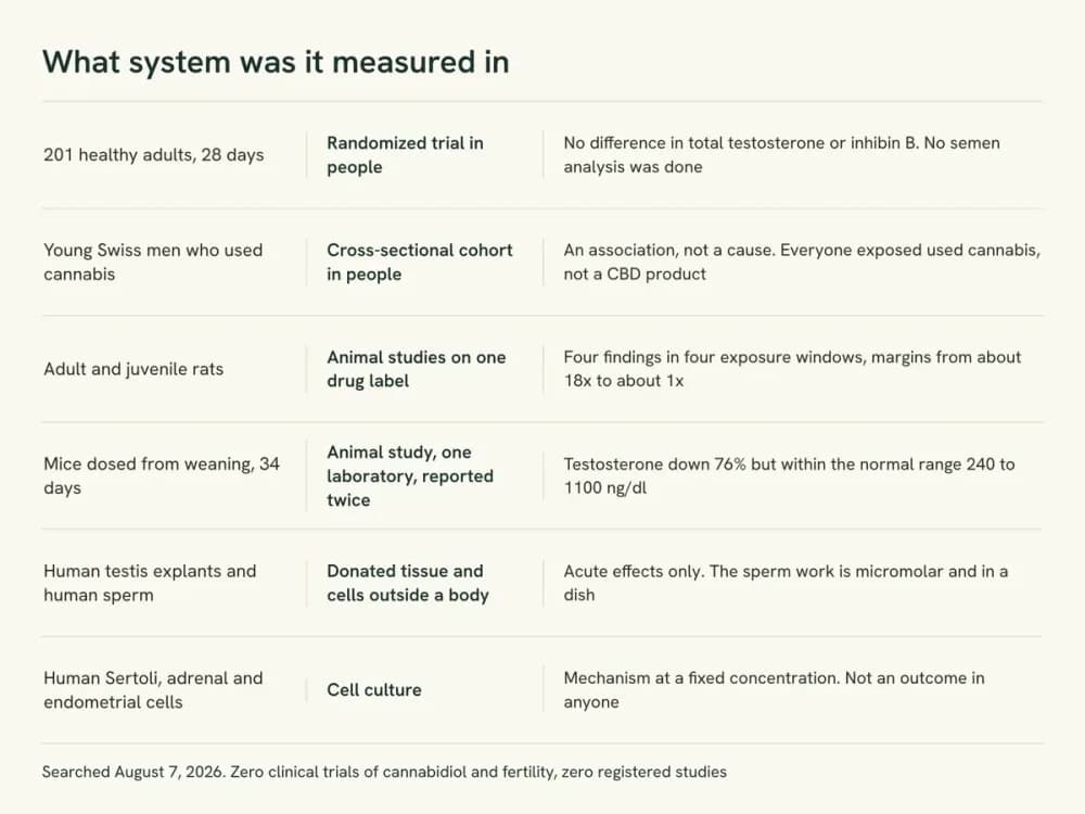 Evidence ladder showing the species and system behind each result on CBD and fertility, from human trials at the top down to cell experiments.