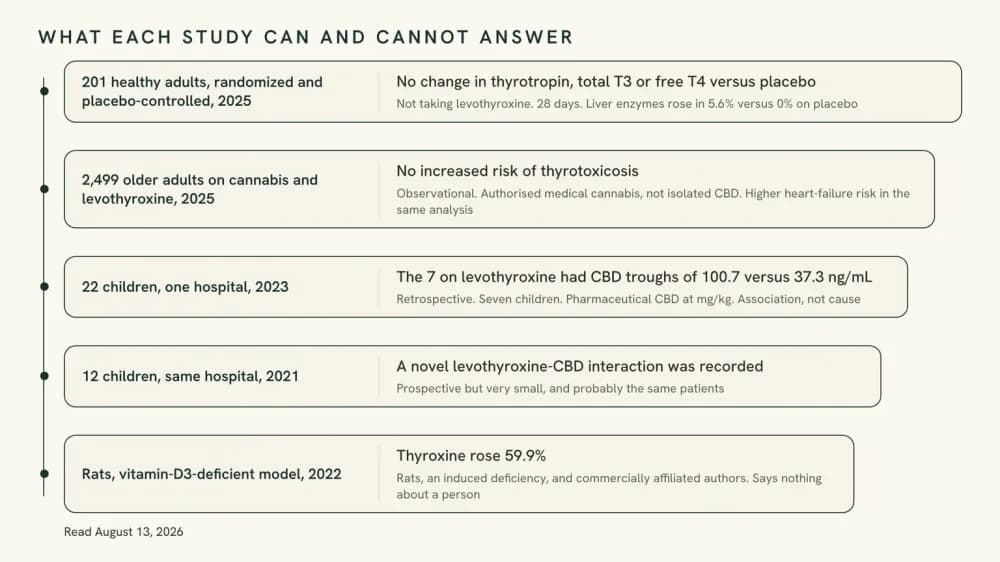 Evidence ladder graphic listing five studies from a rat model up to a randomized trial in 201 adults, with what each one can and cannot answer.