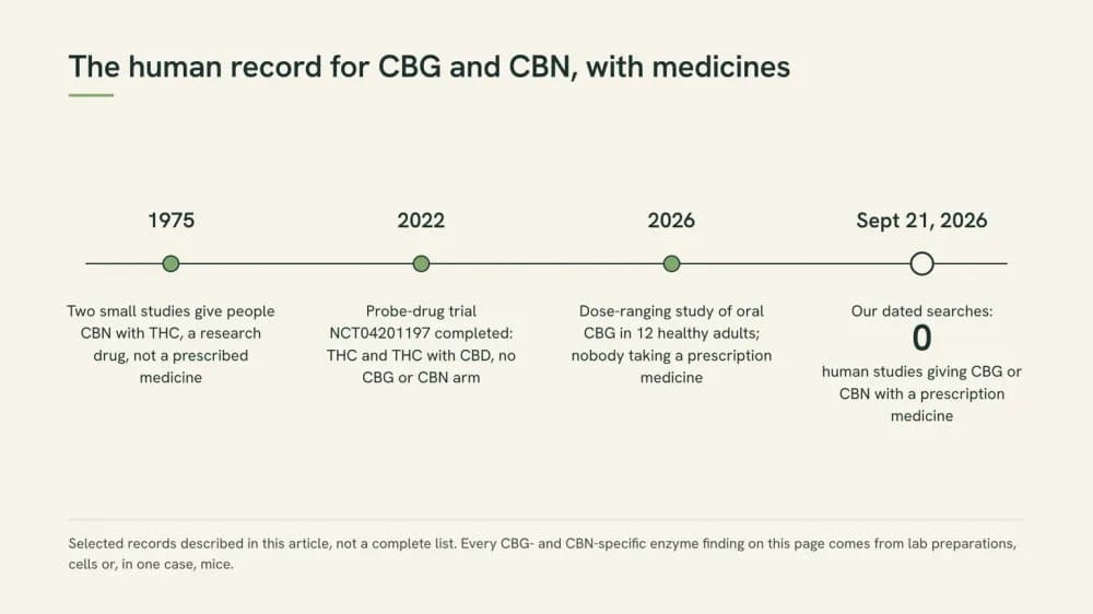 Timeline of the human record: 1975 studies giving CBN with THC, a 2022 probe-drug trial with no CBG or CBN arm, a 2026 CBG dose study with no medicines, and zero studies with a medicine as of September 21, 2026.