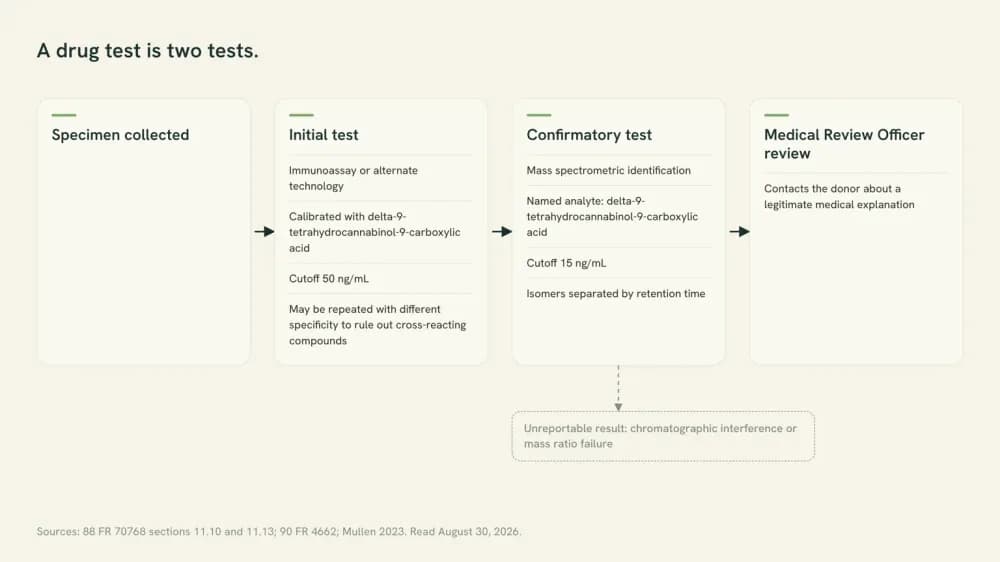 Flow diagram of a federal urine drug test: specimen, then an initial immunoassay calibrated with the delta-9 acid at 50 ng/mL, then a confirmatory mass spectrometry test at 15 ng/mL, then Medical Review Officer review.