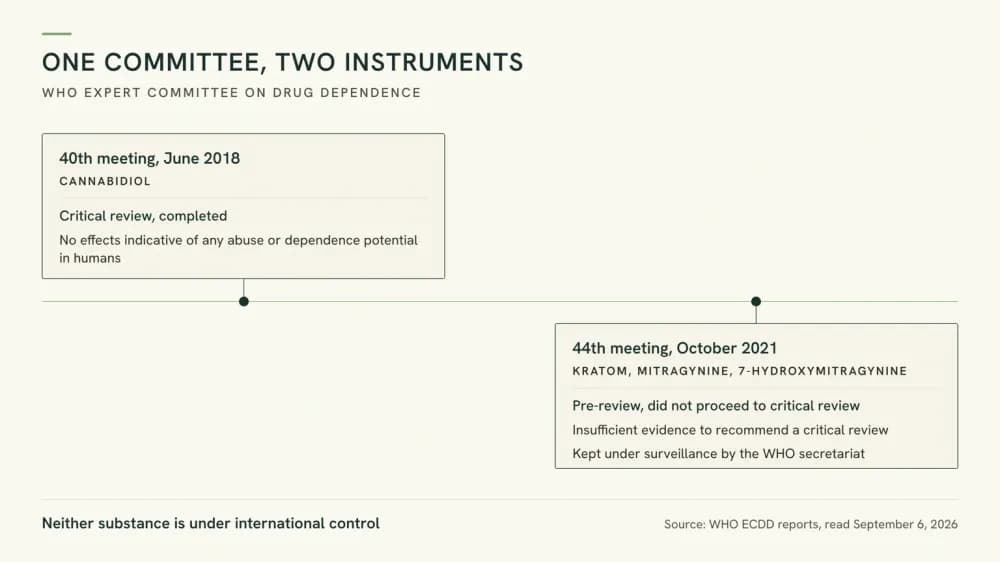 Timeline graphic of one WHO expert committee using two instruments: a completed 2018 critical review of cannabidiol and a 2021 kratom pre-review that did not proceed and recommended surveillance.