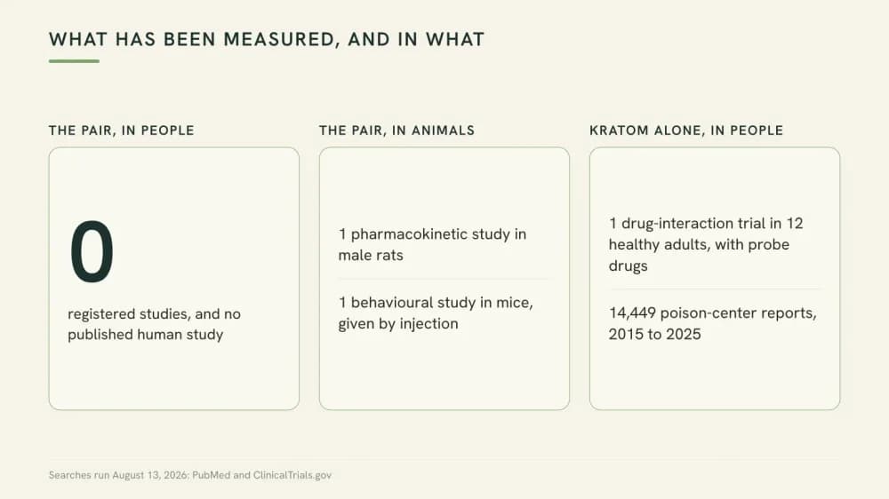 Three-column evidence map: the pair measured in people equals zero studies, the pair in animals equals two preclinical studies, and kratom alone in people equals one trial and eleven years of poison-center reports.