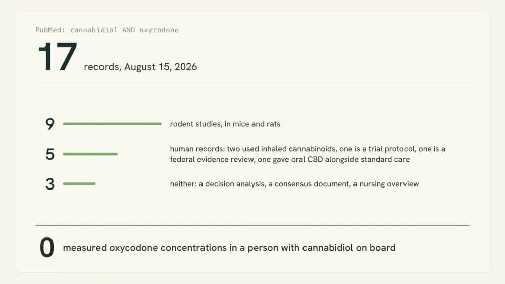 Graphic breaking the 17 PubMed records for cannabidiol and oxycodone into nine rodent studies, five human records and three that are neither, with zero measuring blood levels.