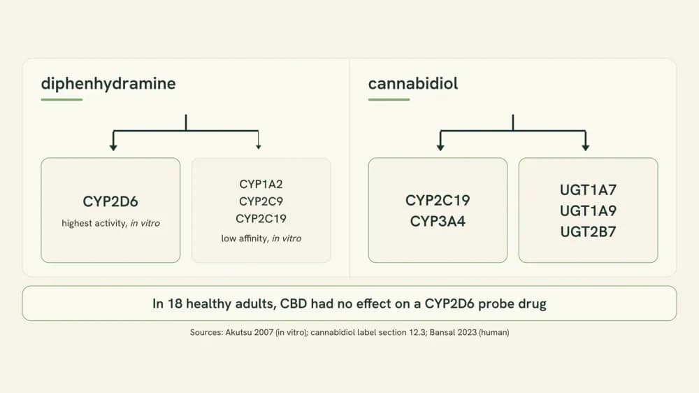 Diagram showing diphenhydramine cleared mainly by CYP2D6 and cannabidiol cleared by CYP2C19, CYP3A4 and UGT enzymes, as two separate routes rather than one shared one.