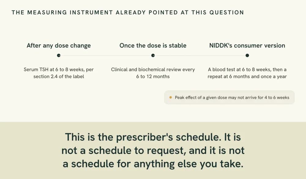 Timeline graphic of the levothyroxine monitoring schedule described in the label and by NIDDK: a TSH test six to eight weeks after any dose change, then a review every six to twelve months once the dose is stable.