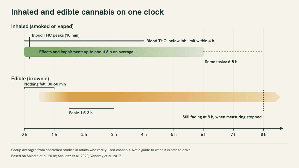 Timeline from 0 to 8 hours: inhaled cannabis is felt in minutes, blood THC is gone by 4 hours and effects linger to about 6; edibles start at 30 to 60 minutes, peak at 1.5 to 3 hours and are still fading at 8.