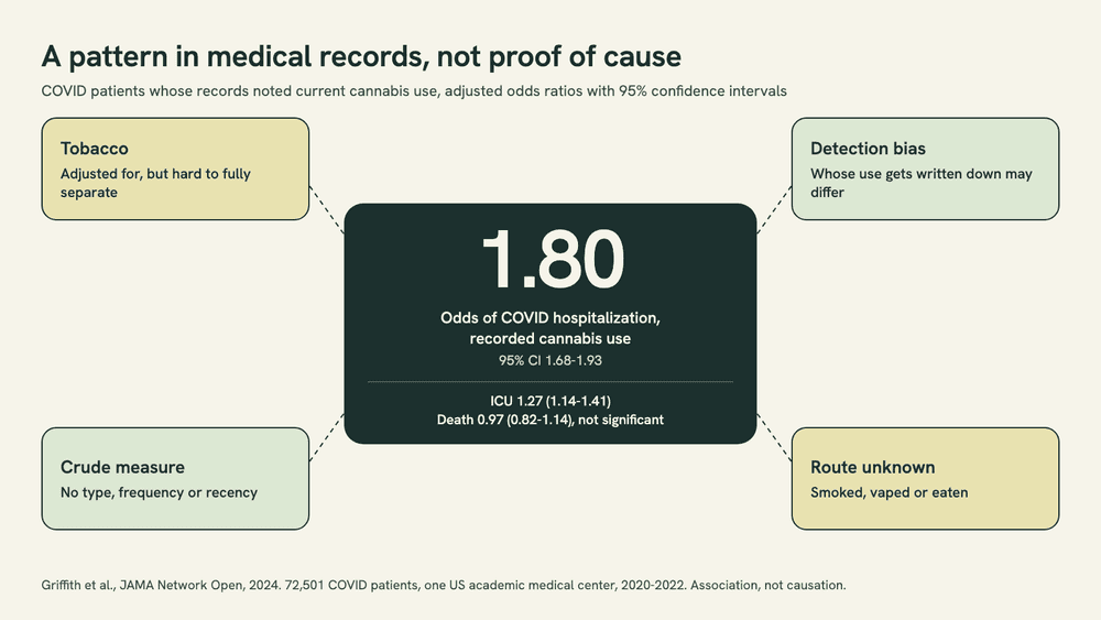 Diagram: an odds ratio of 1.80 for COVID hospitalization with recorded cannabis use, surrounded by four other explanations: tobacco, detection bias, a crude use measure and unknown route.