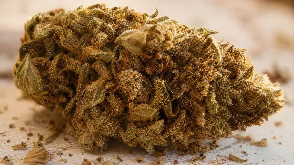 CBN vs CBD: The Real Difference and What Trials Found