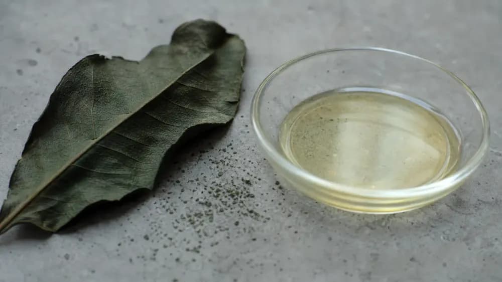 CBD and Kratom: One Animal Study, and No Human Data