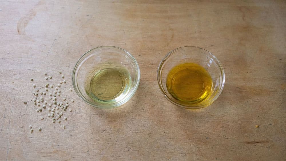 Hemp Seed Oil vs CBD Oil: The Thousandfold Difference