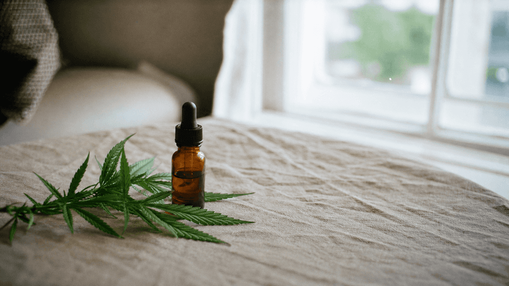 What is CBD? The complete guide to cannabidiol
