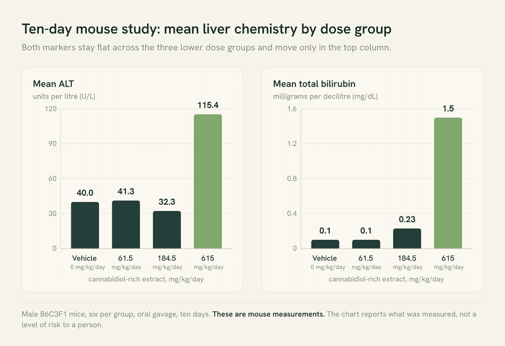 Two bar charts of mouse liver chemistry across the four ten-day dose groups. Mean ALT and mean total bilirubin both stay flat through the vehicle, 61.5 and 184.5 mg/kg/day groups and rise sharply only in the 615 mg/kg/day group.