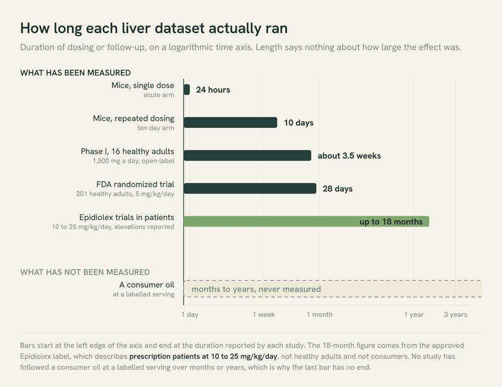 A chart comparing how long each cannabidiol liver study ran, from 24 hours in mice to 18 months in prescription patients, against the open-ended timescale of everyday use.