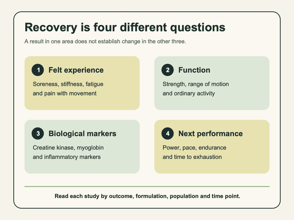 Diagram separating exercise recovery into felt experience, function, biological markers, and next performance.