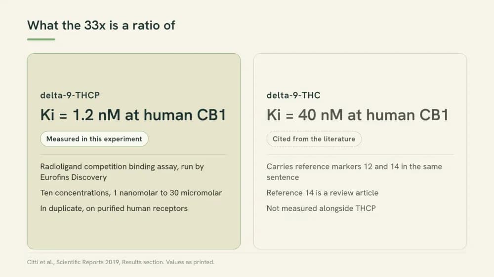 Diagram showing that THCP's binding constant was measured in the 2019 experiment while the delta-9-THC comparator was cited from earlier literature.