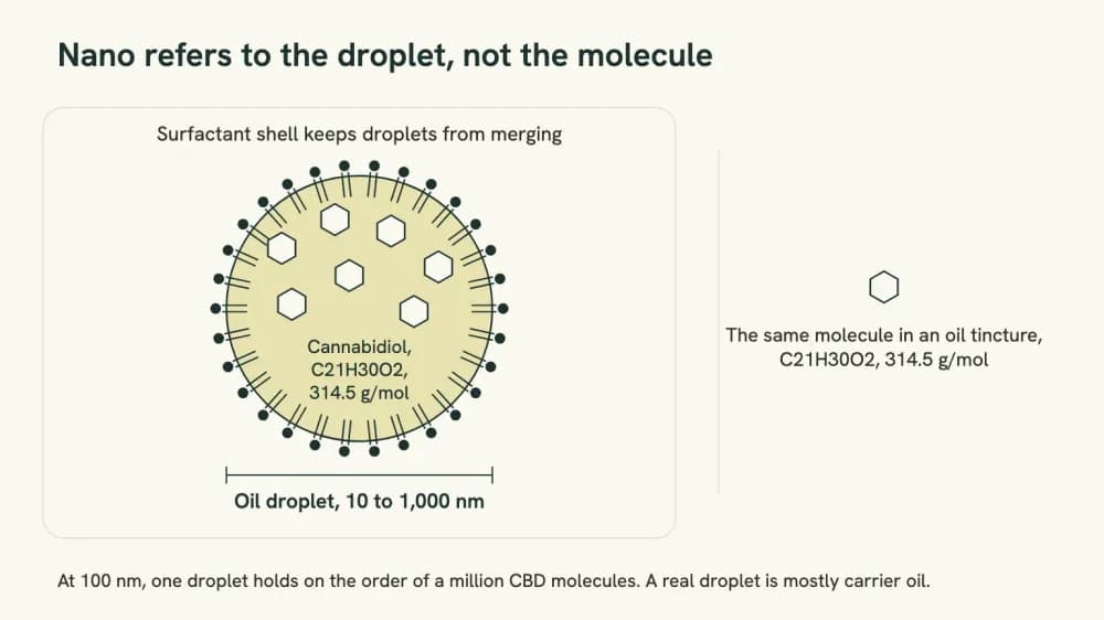 Diagram of a surfactant-coated oil droplet suspended in water, labeled with the 10 to 1,000 nanometer size range.
