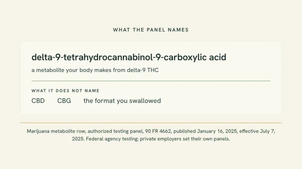 Typeset card naming the one analyte a federal workplace urine panel looks for, delta-9-tetrahydrocannabinol-9-carboxylic acid, beside the three things it does not name: CBD, CBG and the format you swallowed.