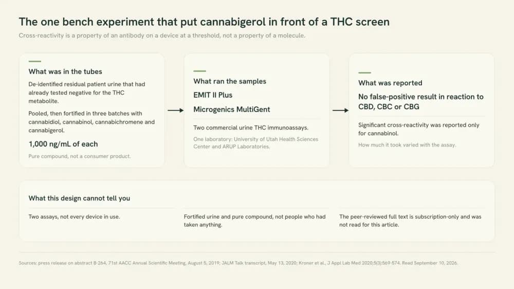 Diagram of the one bench experiment that tested cannabigerol against THC urine screens: four cannabinoids spiked at 1,000 ng/mL into pooled THC-negative urine, run on two named commercial assays, with the reported result and the limits.